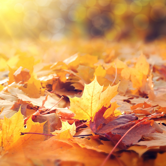 Wax Melts 100 gr με άρωμα "Autumn Leaves"