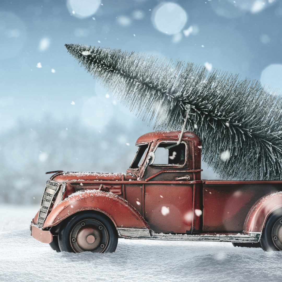 Wax Melts με άρωμα "Christmas Tree"